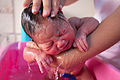 ..............baby.bath.J.Orsini.wc.cca.1.10.13.thmb