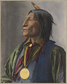 .........Chief.Wolf.Robe.Cheyenne.BPL.1898.F.Rinehart.wc.thm
