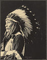 ........Indian.AfraidofEagle.Sioux.F.Rinehart1898.BPLDC.thm.wc.